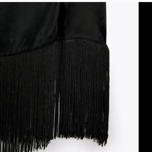 Zara Black Fringe Satin Mini
Skirt - Picture 4 of 7